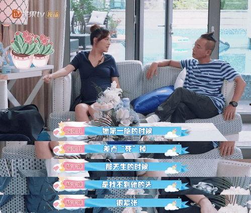 吃瓜群众爆料娱乐圈,吃瓜群众视角下的明星风云录