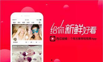 娱乐吃瓜酱视频模板免费,揭秘娱乐吃瓜酱短视频模板的魅力 第2张 娱乐吃瓜酱视频模板免费,揭秘娱乐吃瓜酱短视频模板的魅力 第2张