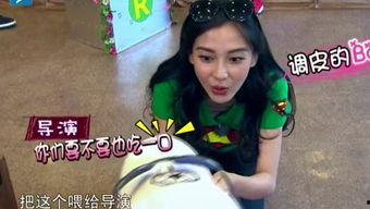 娱乐吃瓜酱笑声视频播放,娱乐吃瓜酱笑声视频集锦