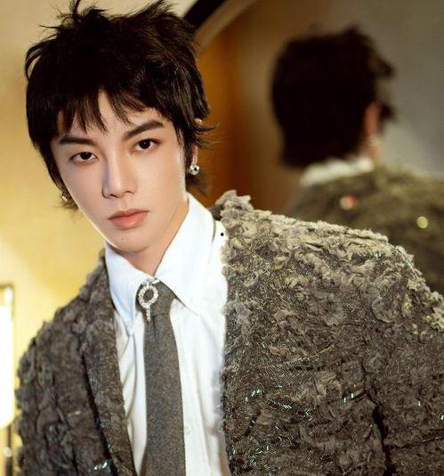 吃瓜星娱乐华晨宇,从选秀冠军到争议焦点,娱乐圈的“火星人”之路 第2张 吃瓜星娱乐华晨宇,从选秀冠军到争议焦点,娱乐圈的“火星人”之路 第2张