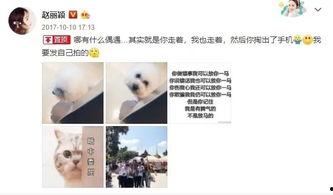 娱乐吃瓜君乱吐槽,吃瓜君乱吐槽，揭秘明星幕后故事