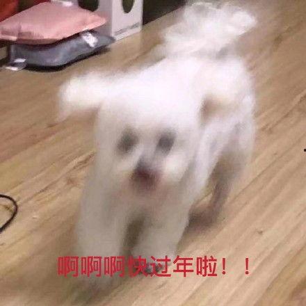 娱乐吃瓜君乱吐槽,吃瓜君乱吐槽,揭秘明星幕后故事 第2张 娱乐吃瓜君乱吐槽,吃瓜君乱吐槽,揭秘明星幕后故事 第2张