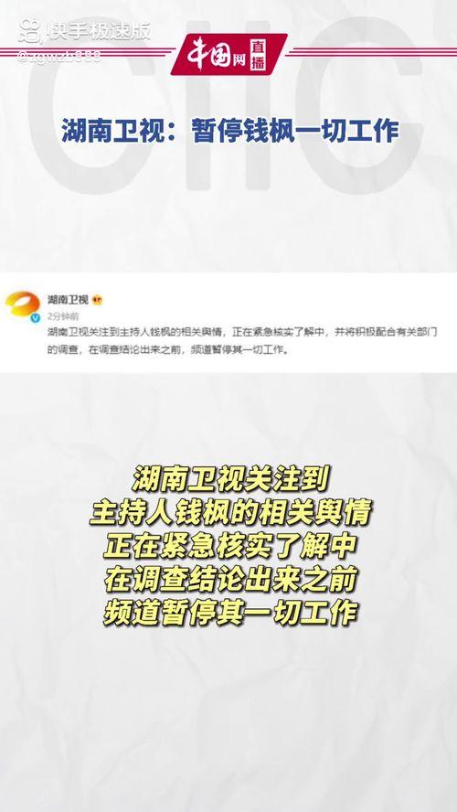 娱乐圈里的吃瓜文件,421文件中的明星八卦风云