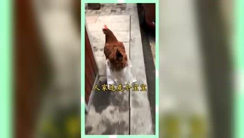 娱乐吃瓜群众一名,网络时代的娱乐文化现象解析 第2张 娱乐吃瓜群众一名,网络时代的娱乐文化现象解析 第2张