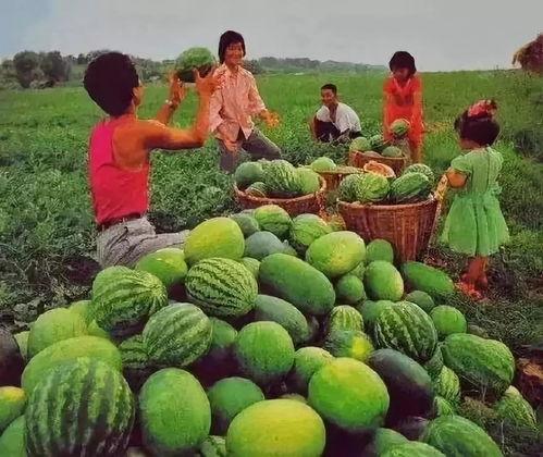娱乐吃瓜作品有哪些名字,揭秘那些令人捧腹的吃瓜大事件 第2张 娱乐吃瓜作品有哪些名字,揭秘那些令人捧腹的吃瓜大事件 第2张