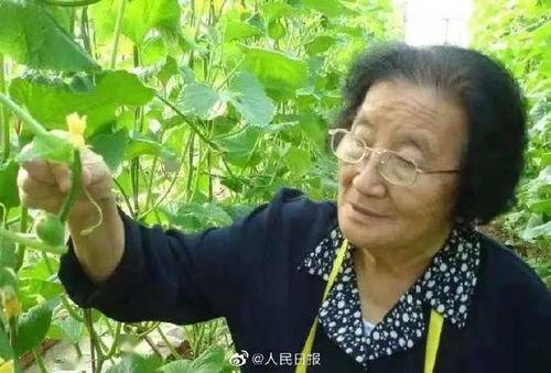 娱乐吃瓜酱植物人,揭秘娱乐界的“吃瓜酱”传奇  第2张