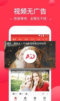 娱乐吃瓜酱视频模板下载,轻松打造热门娱乐短视频 第3张 娱乐吃瓜酱视频模板下载,轻松打造热门娱乐短视频 第3张