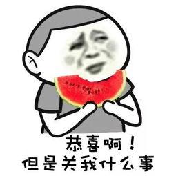 裹干发帽吃娱乐瓜,揭秘网红八卦与内幕资料汇总 第1张 裹干发帽吃娱乐瓜,揭秘网红八卦与内幕资料汇总 第1张