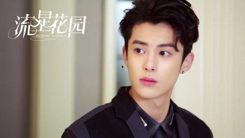 吃瓜星娱乐王鹤棣,吃瓜星娱乐界的璀璨新星  第3张