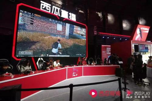 娱乐吃瓜君直播嘉年华,狂欢盛宴，笑料横生，精彩瞬间大盘点  第3张