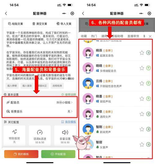 娱乐吃瓜视频的配音软件,揭秘热门娱乐吃瓜视频背后的配音神器 第2张 娱乐吃瓜视频的配音软件,揭秘热门娱乐吃瓜视频背后的配音神器 第2张