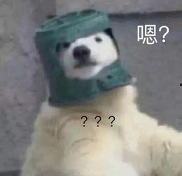 羊了个羊娱乐吃瓜,娱乐吃瓜,揭秘网络爆款游戏背后的故事 第2张 羊了个羊娱乐吃瓜,娱乐吃瓜,揭秘网络爆款游戏背后的故事 第2张
