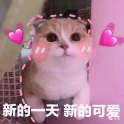 羊了个羊娱乐吃瓜,娱乐吃瓜,揭秘网络爆款游戏背后的故事 第3张 羊了个羊娱乐吃瓜,娱乐吃瓜,揭秘网络爆款游戏背后的故事 第3张