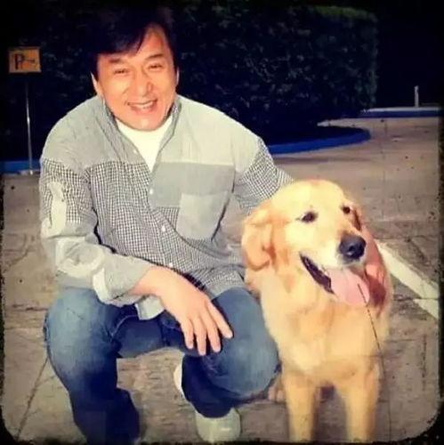 娱乐吃瓜酱大哥爱小狗,娱乐吃瓜酱大哥与小狗的温馨日常 第2张 娱乐吃瓜酱大哥爱小狗,娱乐吃瓜酱大哥与小狗的温馨日常 第2张
