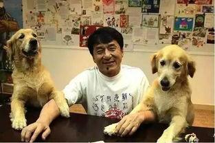 娱乐吃瓜酱大哥爱小狗,娱乐吃瓜酱大哥与小狗的温馨日常 第3张 娱乐吃瓜酱大哥爱小狗,娱乐吃瓜酱大哥与小狗的温馨日常 第3张