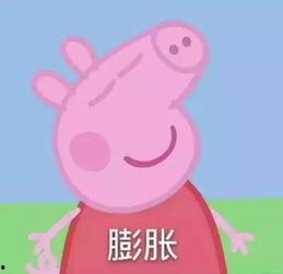 小猪娱乐吃瓜直播间视频,揭秘娱乐圈幕后故事  第2张