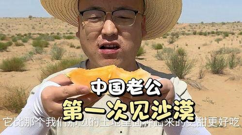 娱乐吃瓜酱苦尽甘来时,从苦涩到甘甜的蜕变之旅  第3张