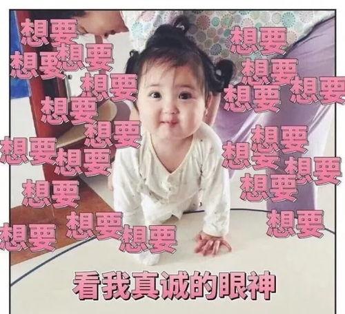 吃瓜娱乐小崽崽小说,小崽崽的娱乐圈奇遇记  第3张