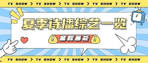 娱乐吃瓜号会不会侵权,如何规避侵权风险  第2张