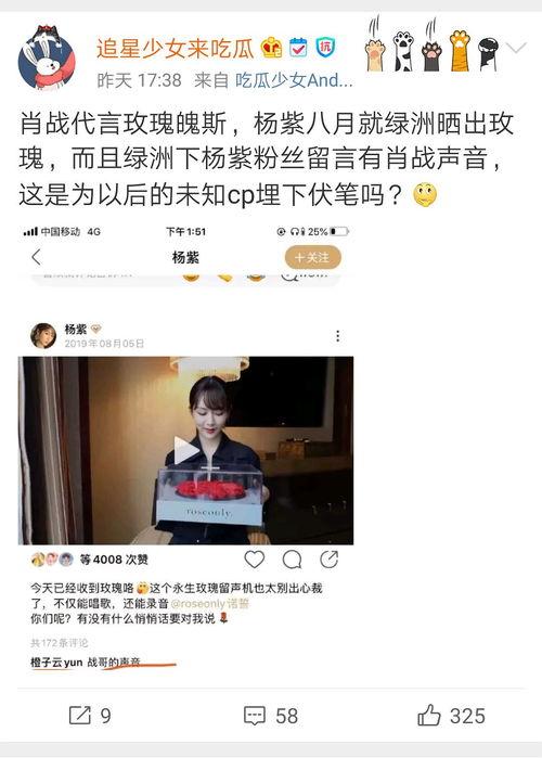 吃瓜营销号娱乐圈,吃瓜群众眼中的明星风云录  第2张