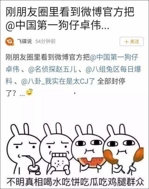 娱乐吃瓜 大事件小说,吃瓜大事件背后的秘密  第2张
