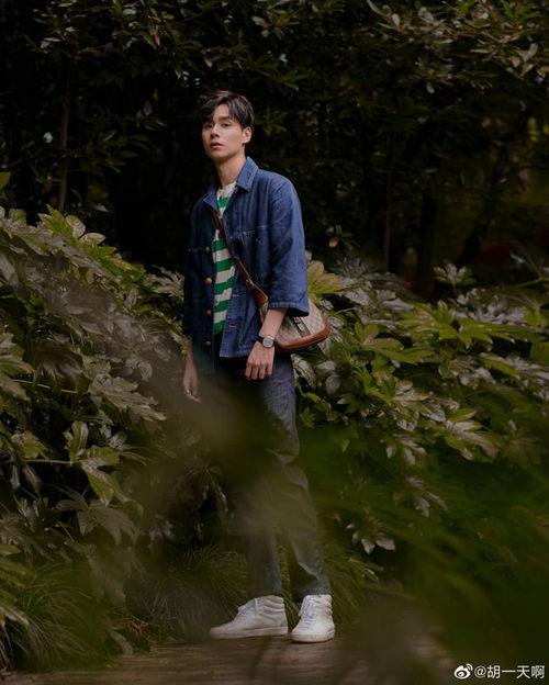 胡一天吃瓜娱乐,揭秘明星幕后趣事  第3张