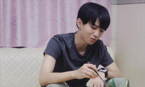 娱乐吃瓜蜀黍王俊凯,娱乐吃瓜蜀黍的青春成长记  第3张