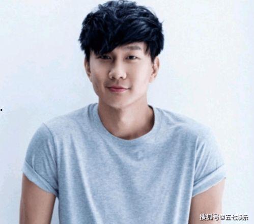 林俊杰娱乐圈吃瓜,揭秘明星背后的“吃瓜”故事  第2张