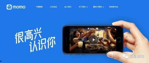 娱乐吃瓜直播怎样加入公会,揭秘娱乐直播加入公会全攻略  第2张