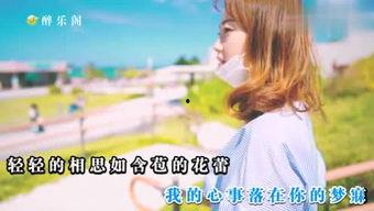 娱乐吃瓜小阿酱小说,揭秘娱乐圈背后的秘密瓜田  第2张