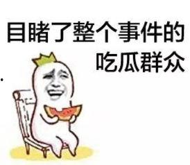 娱乐吃瓜群众模板怎么写,揭秘明星背后的故事，带你走进明星私生活  第3张