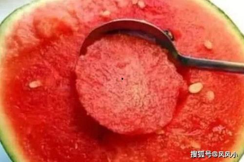 吃瓜娱乐社寄生虫,深度解析寄生虫背后的社会现象与人性探讨  第3张