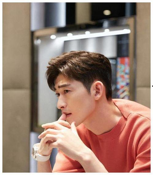 娱乐圈吃瓜张翰,娱乐圈吃瓜达人，揭秘明星幕后故事  第2张