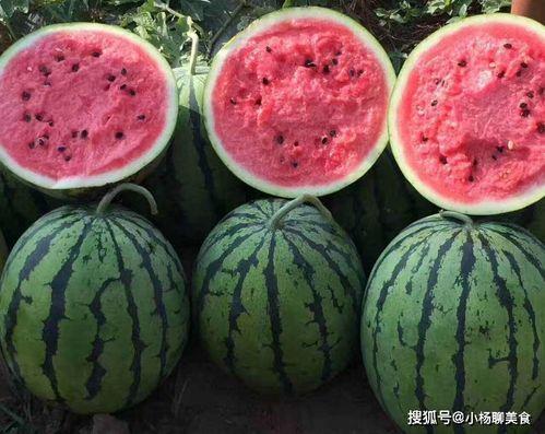 安排好行程娱乐吃瓜酱,尽享娱乐美食之旅  第2张