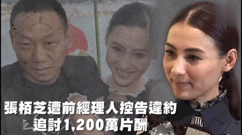 娱乐吃瓜的本质是啥,一场全民参与的狂欢盛宴  第2张