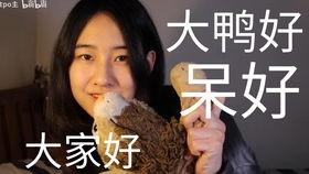 娱乐圈吃瓜up主,吃瓜UP主带你探秘明星幕后故事 第1张 娱乐圈吃瓜up主,吃瓜UP主带你探秘明星幕后故事 第1张