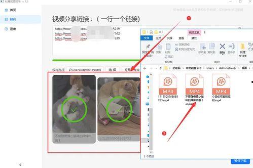 吃瓜娱乐素材视频无水印,无水印素材背后的娱乐风云  第3张