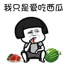 娱乐吃瓜酱梗是什么,网络热词背后的趣味与思考  第2张