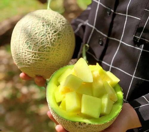 娱乐圈有什么瓜吃,揭秘明星们的幕后故事与精彩瞬间  第2张