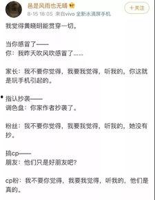 娱乐吃瓜酱年度报告,盘点娱乐圈风云变幻，揭秘明星幕后故事  第2张