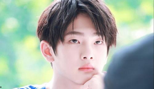 娱乐吃瓜小将王惠小说,娱乐圈的吃瓜小将，揭秘明星背后的故事  第3张