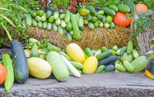 娱乐吃瓜公司有哪些名字  第3张