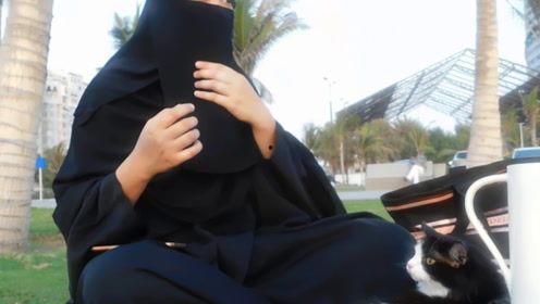 娱乐吃瓜君网红对比 第2张 娱乐吃瓜君网红对比 第2张