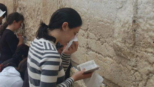 娱乐吃瓜君网红对比 第3张 娱乐吃瓜君网红对比 第3张