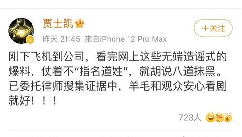 吃娱乐圈的瓜文案,明星幕后故事全曝光 第2张 吃娱乐圈的瓜文案,明星幕后故事全曝光 第2张