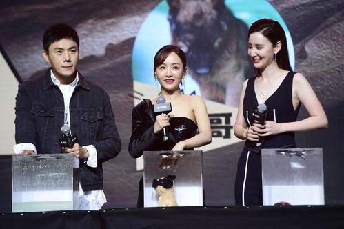 娱乐圈吃瓜合集最全,揭秘最全吃瓜合集 第3张 娱乐圈吃瓜合集最全,揭秘最全吃瓜合集 第3张