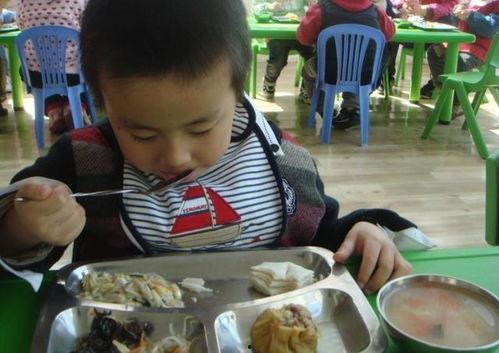 娱乐吃瓜酱幼儿园,揭秘童趣世界里的欢乐与成长  第2张